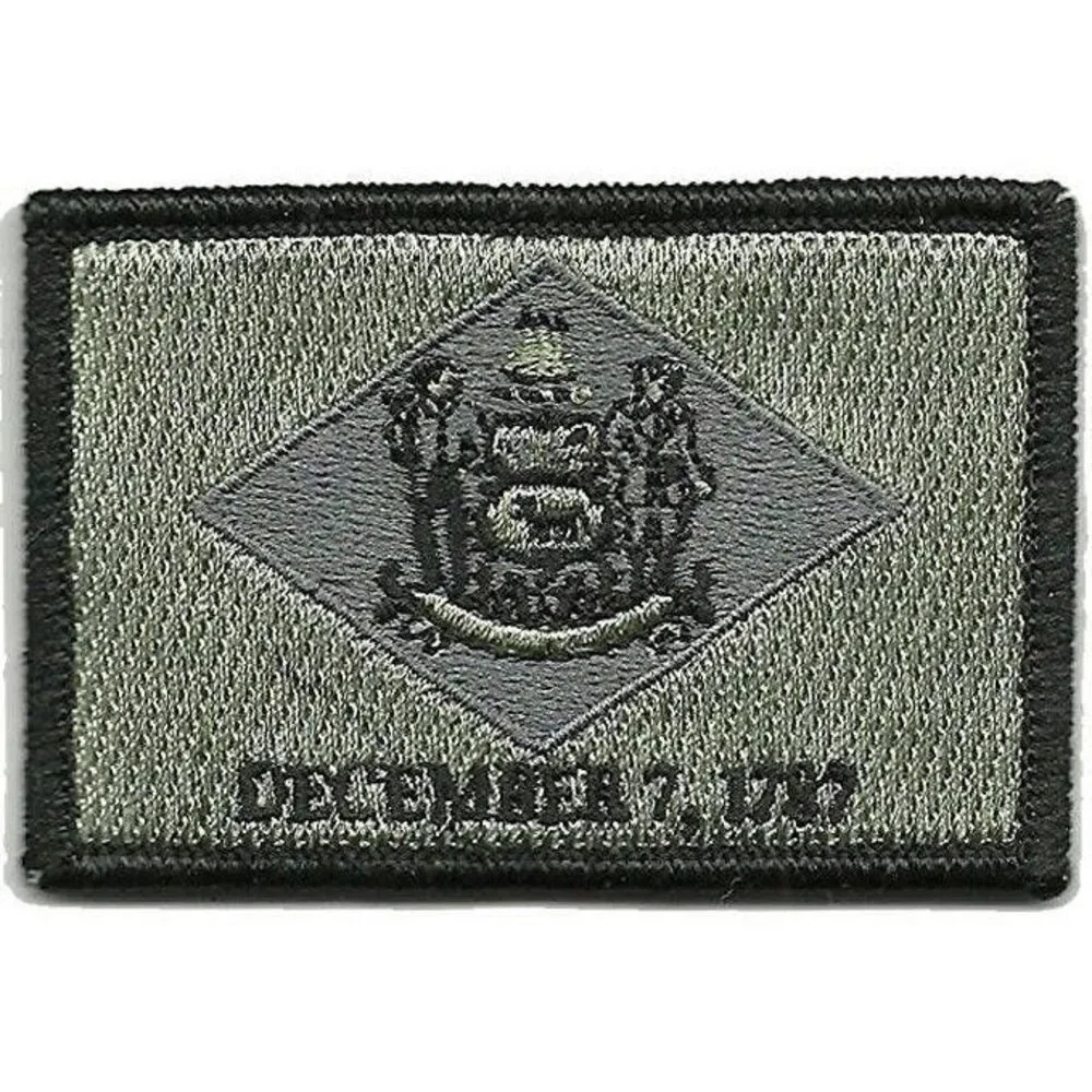 BuckUp Tactical Morale Patch Hook Delaware Dover State Patches 3x2